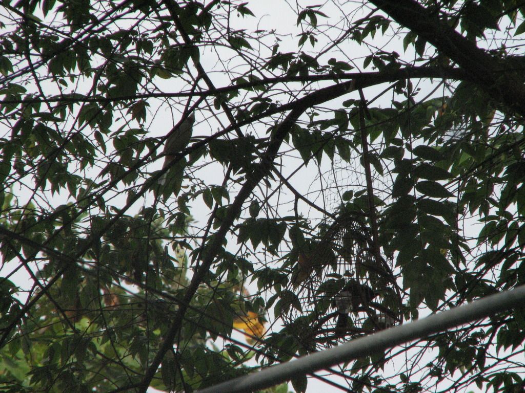 IMG_0202.jpg